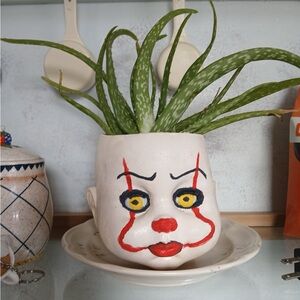Clown Face Planter with Aloe - White and Red